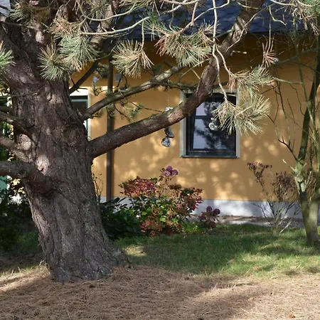 Апартаменты Emma - 3 Ломе